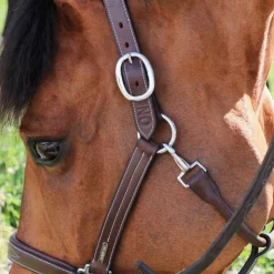 Discount Jump'In - Licol Fancy One Noisette Marron