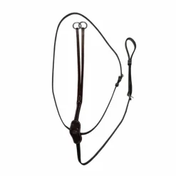 New Jump'In - Martingale à anneaux