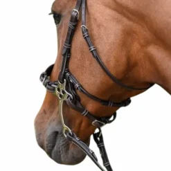 Clearance Jump'In - Montants et lanière pour hackamore collection Week Noir