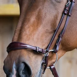 Jump'In - Muserolle allemande Evolution noisette Marron Outlet