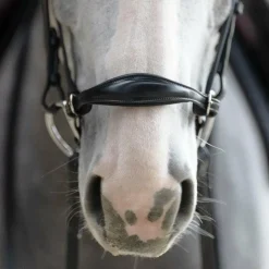 Jump'In - Muserolle allemande Evolution Noir Outlet