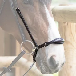 Jump'In - Muserolle allemande Evolution havane Marron Sale