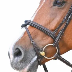 Jump'In - Muserolle combinée Tuesday acajou Marron