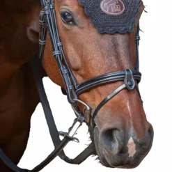 Clearance Jump'In - Muserolle combinée Tuesday Noir