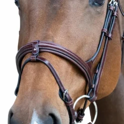 New Jump'In - Muserolle combinée Evolution noisette Marron