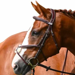 Jump'In - Muserolle croisée Tuesday acajou Marron New