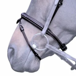 Best Jump'In - Muserolle croisée Wednesday Noir