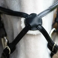 Clearance Jump'In - Muserolle croisée Evolution Noir