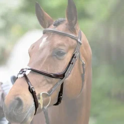 New Jump'In - Muserolle croisée Evolution havane Marron