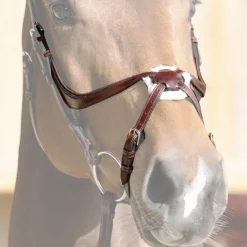 Jump'In - Muserolle croisée Evolution noisette Marron