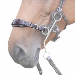 Jump'In - Nez de hackamore plombé en cuir havane Online