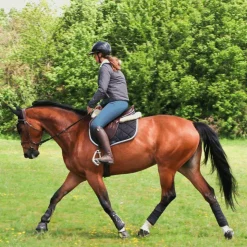 Jump'In - Pantalon d'équitation femme Super X lagon Bleu Discount