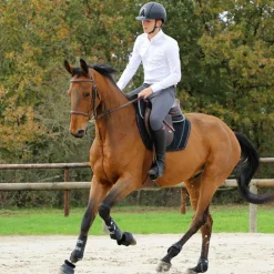 New Jump'In - Pantalon d'équitation homme Super X Gris