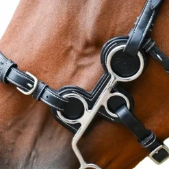 Outlet Jump'In - Protection pour hackamore en cuir Noir