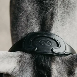 Sale Jump'In - Têtière + rênes Evolution Noir