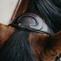 Jump'In - Têtière + rênes Evolution havane Marron Discount