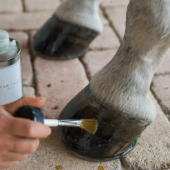 Karitale - Huile de soin pour sabots Best