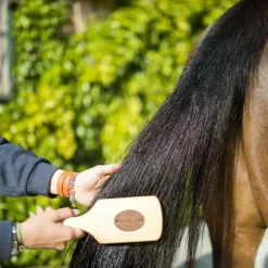 Sale Karitale - Soin démêlant pour crins