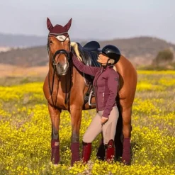 Clearance Kask - Casque d'équitation Kooki Lady shine Noir