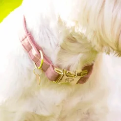 Best Kentucky Dogwear - Colliers pour chiens Velvet Rose