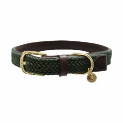 Kentucky Dogwear - Colliers pour chiens olive Vert Clearance