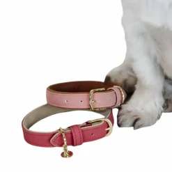 Clearance Kentucky Dogwear - Collier pour chien vegan leather peach/brown Rose