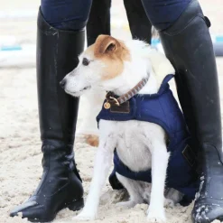 Sale Kentucky Dogwear - Colliers pour chiens Triangle Gris