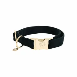 Kentucky Dogwear - Colliers pour chiens Corduroy Vert Hot