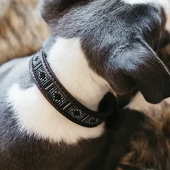 Sale Kentucky Dogwear - Collier pour chiens perles faites main Argent