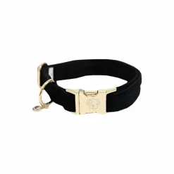 Kentucky Dogwear - Colliers pour chiens Corduroy Noir Online