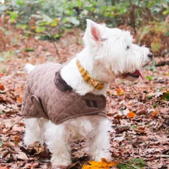 Sale Kentucky Dogwear - Colliers pour chiens Velvet Moutarde Jaune