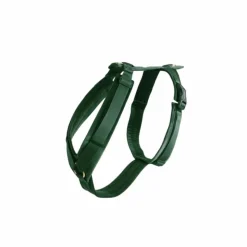 New Kentucky Dogwear - Harnais pour chien actif velours pine green Vert