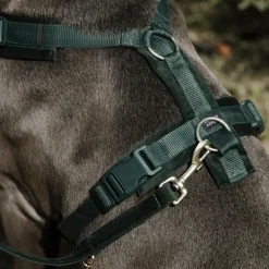 New Kentucky Dogwear - Harnais pour chien actif velours pine green Vert