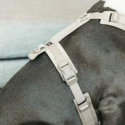 Online Kentucky Dogwear - Harnais pour chien actif velvet beige