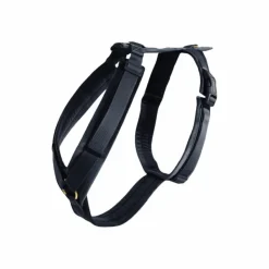 Kentucky Dogwear - Harnais pour chien actif velvet noir Best