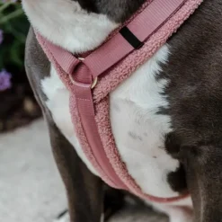 Kentucky Dogwear - Harnais pour chien Teddy Fleece vieux Rose Discount
