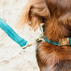 Online Kentucky Dogwear - Laisse pour chiens Velvet 120 cm émeraude Bleu