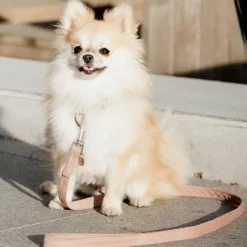 Discount Kentucky Dogwear - Laisse pour chiens Velvet 120 cm tendre Rose