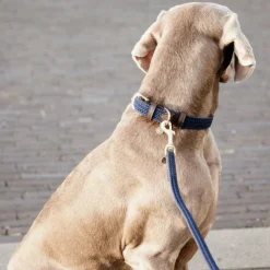 Online Kentucky Dogwear - Laisse pour chien nylon tressé Plaited Nylon 120 cm Marine