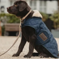 Outlet Kentucky Dogwear - Laisse pour chien nylon tressé Plaited Nylon 120 cm Beige