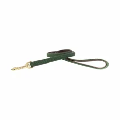 Discount Kentucky Dogwear - Laisse pour chien nylon tressé Plaited Nylon 120 cm olive Vert