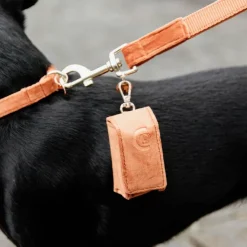 Kentucky Dogwear - Laisse pour chien Velvet 2m Orange Sale
