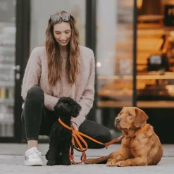 Sale Kentucky Dogwear - Laisse pour chien nylon tressé Plaited Nylon 120 cm Orange