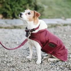 Kentucky Dogwear - Laisse pour chien nylon tressé Plaited Nylon 120 cm Bordeaux