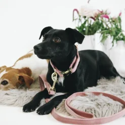 Kentucky Dogwear - Laisse pour chiens Velvet 120 cm vieux Rose Sale