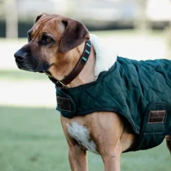 Hot Kentucky Dogwear - Manteau pour chiens 160g foncé Vert