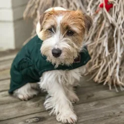 Hot Kentucky Dogwear - Manteau pour chiens 160g foncé Vert
