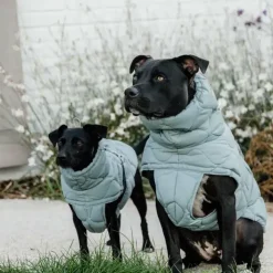 Kentucky Dogwear - Manteau pour chien Pina ciel 160g Bleu Online