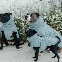 Kentucky Dogwear - Manteau pour chien Pina ciel 160g Bleu Online