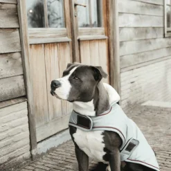 Sale Kentucky Dogwear - Manteau Imperméable réfléchissant Dusty Blue 160g Argent